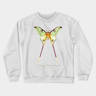 Moth - Comet Moth or Madagascan Moon Moth aka Argema Madagascariensis or Argema Mittrei Crewneck Sweatshirt